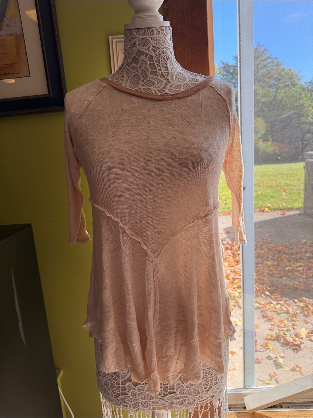 Free People Blush Pink Semi-Sheer Tunic Top